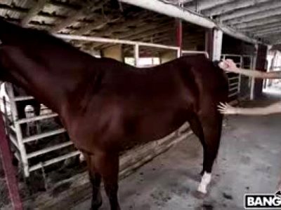 Kristy May Rides A Stallion – Bangbros 18