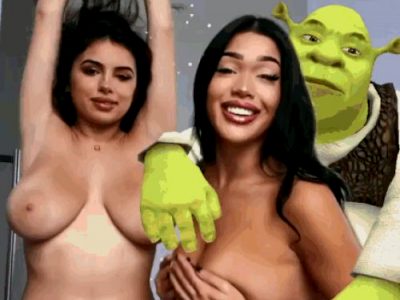 Shrek have a happy ending